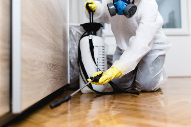 Reliable Swedesboro, NJ Pest Control Solutions