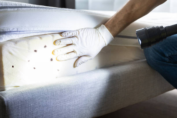 Best Bed Bug Extermination  in Swedesboro, NJ